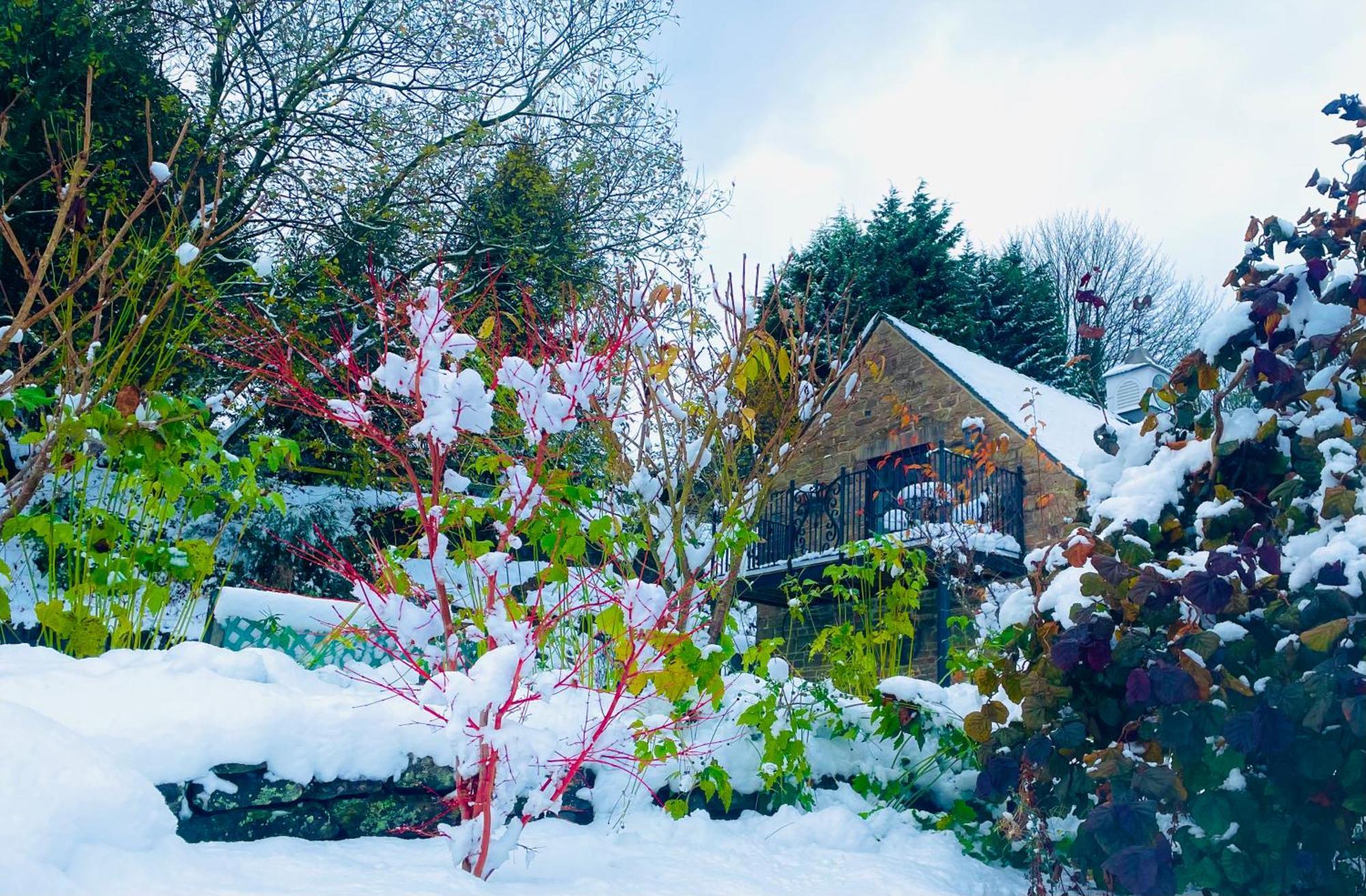 Holiday home The Cruck Barn, Cosy Rural Escape Near The Peak District *